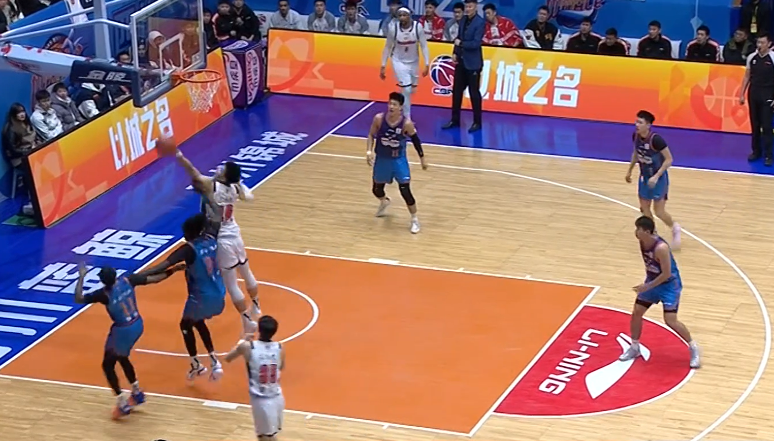 8868体育官网-有趣！CBA赛场来了一个不速之客 球迷：头一回见